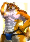  abs anthro armpit_hair barrel_(live-a-hero) blush bodily_fluids body_hair bulge canid canine canis clothing fur hi_res jockstrap live-a-hero male mammal multicolored_body multicolored_fur muscular muscular_anthro muscular_male nipples pecs solo sweat underwear wolf yellow_eyes yukikazefactory 