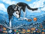 2020 4_toes ambiguous_gender black_body black_fur brown_eyes canid canine canis day detailed_background digital_media_(artwork) domestic_dog feral fish flashw fur group husky mammal marine nordic_sled_dog outside paws sky smile spitz standing toes white_body white_fur 