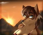  anthro blue_eyes breasts brown_body brown_fur brown_hair canid canine canis clothed clothing detailed_background female fur hair mammal multicolored_body multicolored_fur partially_clothed raynadkins selina_zifer smile solo two_tone_body two_tone_fur wolf 