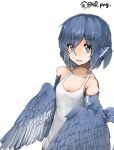  1girl animal_ears bare_shoulders bird_ears bird_wings blue_feathers blue_hair blue_wings breasts eyebrows_visible_through_hair feathered_wings feathers grey_eyes harpy head_feathers miura_(rnd.jpg) monster_girl open_mouth original rnd.jpg small_breasts solo tank_top twitter_username white_tank_top winged_arms wings 