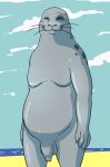  2020 anthro balls beach beastars casual_nudity eyes_closed fizzpop flaccid foreskin front_view genitals grey_body grey_skin happy hi_res male mammal marine moobs nude overweight overweight_anthro overweight_male penis pinniped portrait public_nudity sagwuan_(beastars) seal seaside smile solo spotted_seal standing three-quarter_portrait unretracted_foreskin whiskers 
