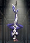  2018 anal anal_penetration anthro balls bdsm bondage bound buttplug collar deusexmoose digital_media_(artwork) fish gag genitals hanging_by_tail hi_res humanoid_genitalia humanoid_penis male marine penetration penis ring_gag rope rope_bondage sex_toy shark solo suspension upside_down 