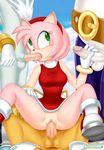  amy_rose big_the_cat greenhand sega silver_the_hedgehog sonic_team tails 