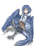  1girl animal_ears bike_shorts bird_ears bird_legs bird_tail bird_wings blue_feathers blue_hair blue_wings eyebrows_visible_through_hair feathered_wings feathers grey_eyes harpy head_feathers miura_(rnd.jpg) monster_girl open_mouth original rnd.jpg skirt solo talons twitter_username winged_arms wings 