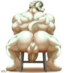  anthro anus back_muscles backsack balls beard big_butt big_muscles big_penis butt canid canine canis chair chode facial_hair furniture genitals hair hi_res huge_muscles huge_penis looking_at_viewer male mammal multicolored_hair muscular muscular_anthro muscular_male penis presenting presenting_hindquarters simple_background sitting solo stool thick_penis two_tone_hair vein veiny_penis watermark white_background wolf wolfconfnsfw 