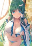  1girl absurdres bangs bare_shoulders blush breasts cleavage collarbone commentary_request cowboy_shot eyebrows_visible_through_hair foreshortening groin hair_between_eyes highres kochiya_sanae liya looking_at_viewer midriff navel parted_lips sidelocks solo standing touhou underwear 