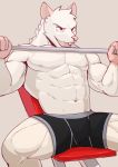  abs anthro buckteeth bulge clothed clothing exercise fur hi_res jrjresq male mammal murid murine muscular muscular_anthro muscular_male open_mouth rat red_eyes rodent sitting solo teeth topless underwear weightlifting weights white_body white_fur workout 