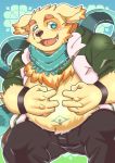  2020 anthro belly blush bottomwear canid canine canis clothing cu_sith_(tas) domestic_dog hoodie humanoid_hands kemono male mammal overweight overweight_anthro overweight_male pants scarf solo tokyo_afterschool_summoners topwear video_games wiizeru3950 