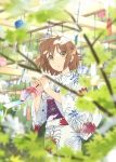  1girl absurdres blush braid brown_hair green_eyes hair_ribbon highres issindotai japanese_clothes kimono looking_at_viewer open_mouth original outdoors plant ribbon scenery short_hair sidelocks solo standing white_kimono yukata 