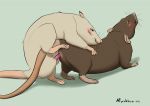  ambiguous_gender ambiguous_penetration animal_genitalia animal_penis duo feral feral_on_feral genitals male male/ambiguous mammal murid murine mushbun penetration penis rat rodent rodent_penis sex simple_background 