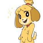  1:1 animal_crossing anthro breasts canid canine canis collar collar_only domestic_dog female genitals hi_res isabelle_(animal_crossing) looking_at_viewer mammal muffinlewds navel nintendo nipples pussy sketch slightly_chubby smiling_at_viewer solo sparkles tailwag video_games 