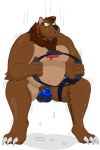  3_fingers alpha_channel anthro bearphones bodily_fluids brown_bear bulge clothing crouching exercise fingers fur grizzly_bear hair male mammal nintendo nintendo_switch notkastar open_mouth orange_eyes slighty_chubby solo sweat underwear ursid ursine video_games workout 