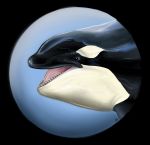  ambiguous_gender cetacean delphinoid feral headshot_portrait hi_res icon killerwhaleartist mammal marine oceanic_dolphin orange_eyes orca portrait solo solo_focus teeth tongue tongue_out toothed_whale 