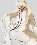  absurd_res anthro equid equine female freshly_uprooted gag genitals harness harness_gag hi_res horse humanoid_genitalia humanoid_hands lidded_eyes mammal muzzle_(object) pussy reins slightly_chubby solo 