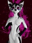  3:4 3d_(artwork) absurd_res anthro black_body black_fur canid canine canis collarbone digital_media_(artwork) ear_piercing female fingerless_(marking) flesh_tunnel fox frankie_(dragonfu) fur gauged_ear genitals gloves_(marking) grey_body grey_fur hair hi_res inner_ear_fluff mammal markings nipples piercing pussy shinyuu solo tuft white_body wolf 