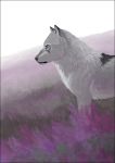  2020 ambiguous_gender black_border black_nose border canid canine canis day detailed_background digital_media_(artwork) eyebrows eyelashes feral fur grass grypwolf mammal outside solo standing white_body white_fur wolf 