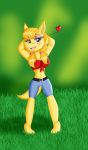  2019 anthro banjo-kazooie big_breasts bottomwear breasts cleavage clothed clothing fan_character female grass hi_res jinjo justina_the_jinjo kendratheshinyeevee mammal navel rareware shorts solo video_games yellow_body yellow_skin 