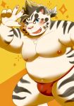  2020 anthro asian_clothing belly blush bulge clothing east_asian_clothing eyewear felid fundoshi fur glasses hi_res humanoid_hands japanese_clothing kemono licho_(tas) male mammal moobs morosuhe nipples overweight overweight_anthro overweight_male pantherine solo tiger tokyo_afterschool_summoners underwear video_games white_body white_fur 