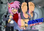  5_toes amy_rose anthro better_version_at_source bound dazidentevil eulipotyphlan feet female foot_fetish foot_focus foot_lick foot_play hedgehog laugh licking mammal soles solo sonic_the_hedgehog_(series) tickling tickling_feet tickling_machine toes tongue tongue_out upskirt 