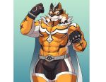  2020 abs anthro biceps bodysuit clothing felid fur hi_res live-a-hero male mammal mask muscular muscular_anthro muscular_male pantherine pecs raiki simple_background skinsuit solo spandex superhero tiger tight_clothing tsukigata_rossi 