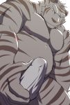  2020 anthro barazoku belly clothed clothing erection erection_under_clothing felid hi_res humanoid_hands kemono male mammal musclegut nipples pantherine sakayasaka simple_background solo tiger underwear white_background 