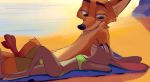  2020 anthro beach bikini canid canine cheek_tuft clothed clothing disney duo eye_contact facial_tuft female fox fur grey_body grey_fur judy_hopps lagomorph leporid light lighting looking_at_another lying male mammal nick_wilde on_back orange_body orange_fur outside qalcove rabbit red_fox sand seaside smile swimming_trunks swimwear topless towel tuft unfinished water zootopia 