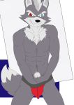  absurd_res alpha_channel andromorph anthro canid canine canis fur hi_res intersex male mammal nintendo solo star_fox vdrebi video_games wolf wolf_o&#039;donnell 