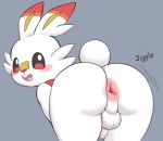  anthro anus backsack balls bent_over big_butt butt chibi foreskin genitals looking_at_viewer looking_back male nintendo penis perineum pok&eacute;mon pok&eacute;mon_(species) presenting presenting_anus presenting_hindquarters pururing scorbunny shaking_butt simple_background smile smiling_at_viewer solo video_games 