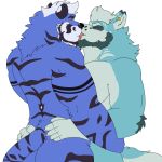  anthro ashi_(character) ashi_ton beard blue_body blue_fur canid canine canis duo eyes_closed facial_hair felid feline french_kissing fur hand_on_butt kissing male male/male mammal muscule pantherine red_tongue simple_background stripes tattoo tiger tongue white_background wolf 