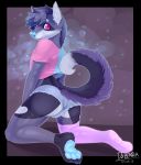  absurd_res anthro baku_blueberry blue_hair blue_nose blue_pawpads bulge butt canid canine canis clothed clothing deblaria domestic_dog footwear girly girly_clothing hair hi_res kneeling looking_at_viewer male mammal panties pawpads pink_eyes presenting simple_background socks solo underwear 