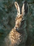  2020 ambiguous_gender brown_eyes digital_media_(artwork) feral hibbary lagomorph leporid mammal rabbit solo whiskers 