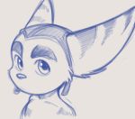  anthro cute_eyes cute_face dandi felid feline kemono lombax looking_at_viewer male mammal ratchet ratchet_and_clank solo sony_corporation sony_interactive_entertainment stripes video_games 