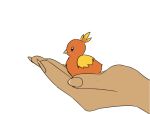  2017 5_fingers ambiguous_focus ambiguous_gender avian bird blue_eyes carrying disembodied_hand duo dv9l feathers feral fingernails fingers galliform human larger_ambiguous larger_human mammal nails nintendo orange_body orange_feathers phasianid pok&eacute;mon pok&eacute;mon_(species) simple_background size_difference smaller_ambiguous solo_focus tan_beak tan_body tan_nails tan_skin torchic video_games white_background yellow_body yellow_feathers 