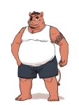  2020 anthro belly bottomwear clothing eye_patch eyewear hi_res kemono male mammal maron2475 overweight overweight_male shorts simple_background solo suid suina sus_(pig) white_background wild_boar 