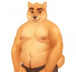  abe.a anthro barazoku belly briefs canid canine canis clothing domestic_dog eyebrows fur grin hi_res male mammal moobs navel nipples orange_body orange_eyes orange_fur overweight pose shiba_inu smile solo spitz underwear 