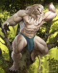 4_toes 5_fingers abs ajani_goldmane anthro black_claws blue_clothing blue_eyes bulge catfolk claws clothing felid fingers fur hasbro hi_res in_tree leonin lion loincloth magic:_the_gathering male mammal mane muscular muscular_anthro muscular_male navel nipples pantherine pecs rnarccus solo text toe_claws toes tree url white_body white_fur white_mane wizards_of_the_coast 