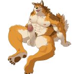  abs anthro balls barrel_(live-a-hero) bodily_fluids canid canine canis claws erection genital_fluids genitals hi_res humanoid_genitalia humanoid_penis kiiriin_x live-a-hero male mammal muscular muscular_male nipples pawpads pecs penis precum solo wolf 