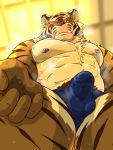  2020 anthro balls_outline barazoku bodily_fluids bulge clothed clothing erection erection_under_clothing felid genital_outline hi_res humanoid_hands kemono male mammal nipples pantherine penis_outline raichoclub solo sweat tiger underwear 