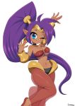  2020 absurd_res blue_eyes breasts clothed clothing ear_piercing ear_ring female genie hair hi_res humanoid humanoid_pointy_ears long_hair looking_at_viewer not_furry one_eye_closed piercing purple_hair shantae shantae_(series) simmsyboy simple_background smile solo video_games wayforward white_background wink 