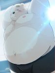  2020 anthro belly blush bulge clothing fur hi_res kemono kwzu male mammal moobs nipples outside overweight overweight_male polar_bear solo underwear ursid ursine white_body white_fur 