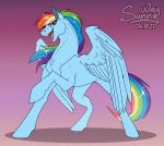  artwork_(digital) digital_drawing_(artwork) digital_media_(artwork) equid equine female feral friendship_is_magic hasbro hooves mammal my_little_pony open_mouth pegasus rainbow_dash_(mlp) sketch solo spread_wings sunny_way wings 