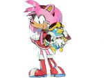  2018 ambiguous_gender amy_rose anthro avian beak biped bird black_eyes blue_body boots carrying clothed clothing crossover digital_media_(artwork) dress duo eulipotyphlan female footwear fully_clothed fur gloves handwear hedgehog kanotynes king_dedede kirby_(series) looking_at_another mammal nintendo pink_body pink_fur red_clothing red_dress simple_background size_difference smile sonic_the_hedgehog_(series) standing video_games white_background white_clothing white_gloves yellow_beak 