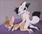  2021 all_fours anthro anthro_on_anthro anthro_penetrated anthro_penetrating anthro_penetrating_anthro arctic_fox aseethe bed big_ears blue_eyes breasts canid canine collar doggystyle duo female female_penetrated fennec fox from_behind_position fur furniture inside kneeling leash leash_pull male male/female male_penetrating male_penetrating_female mammal mind_control penetration ringed_eyes sex vaginal vaginal_penetration white_body white_fur 