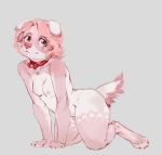  all_fours anthro breasts canid canine canis domestic_dog female floppy_ears fur hair hi_res kneeling mammal neck_tuft nipples pink_body pink_fur pink_hair ribbons solo tgt1512 thick_thighs tuft white_body white_fur wide_hips 