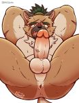  2020 absurd_res anthro anus balls bodily_fluids brown_body brown_fur butt canid canine canis domestic_dog erection fur genitals hi_res humanoid_genitalia humanoid_penis iriai_inasa kemono male mammal penis scar simple_background slightly_chubby solo sweat tokyo_afterschool_summoners video_games white_background yasuyori 