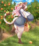  anthro basket big_breasts big_butt breasts butt clothed clothing domestic_cat ear_piercing ear_ring felid feline felis female food fruit hair hi_res holding_object huge_breasts mammal outside peach_(fruit) piercing pink_hair plant prehensile_tail solo spottedtigress 