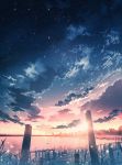  animal bird cityscape cloud commentary_request grass highres no_humans ocean original scenery sky skyrick9413 star_(sky) starry_sky sunset water 