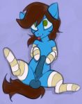  clothing equid equine feral footwear hasbro horse male mammal marsminer my_little_pony pony socks solo 