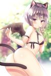 1girl animal_ears ass bangs bat_wings black_bra blush bottomless bra breasts cat_ears cat_tail cowboy_shot eyebrows_visible_through_hair finger_to_mouth frilled_bra frills grey_hair looking_back original purple_eyes short_hair small_breasts solo sunlight tail tail_censor tougetsu_hajime underwear wings 