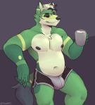  absurd_res anthro boxers_(clothing) bulge canid canine canis clothing green_body hi_res male mammal navel nipples snaftfc solo underwear wolf 